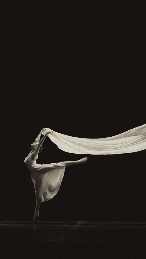 Elagant Dancing (6) screenshot