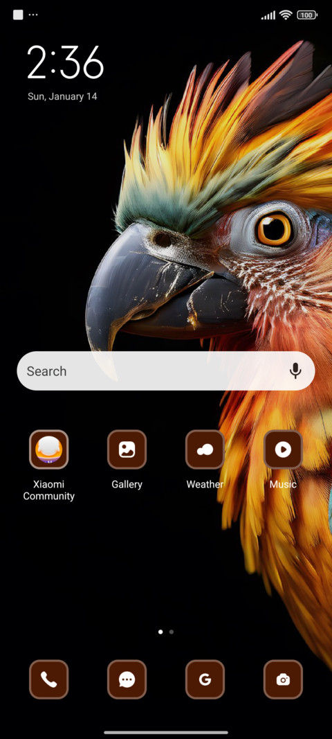 Parrot screenshot