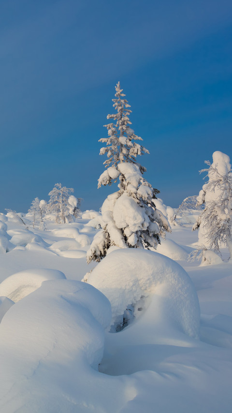 Polar scenery screenshot