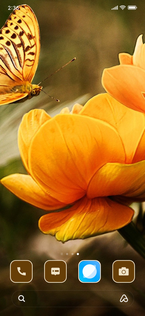 lily screenshot