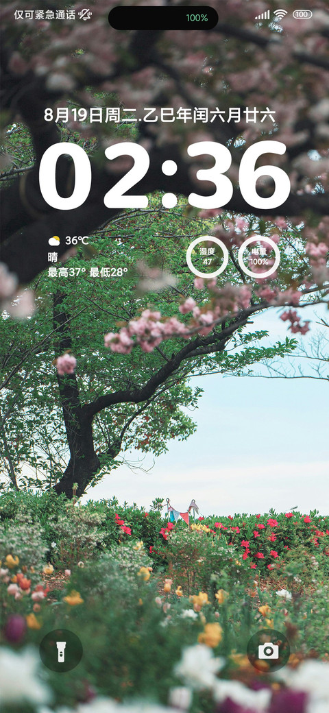ins清新森系 screenshot
