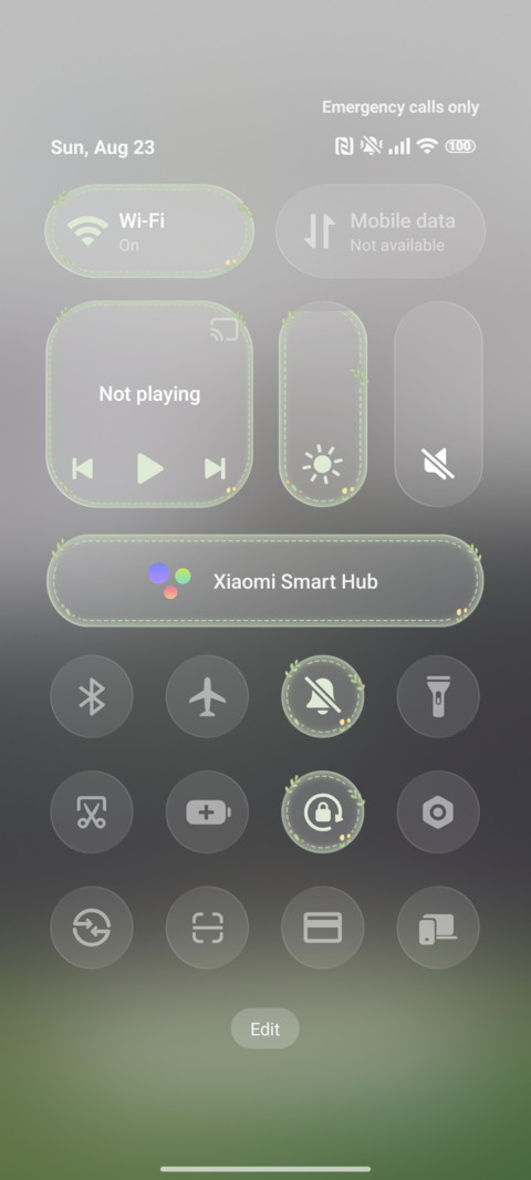 Transparent Green screenshot