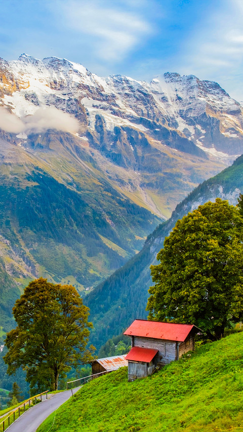 Summer in the Alps screenshot