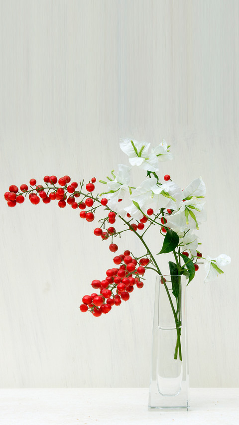 瓶花艺术 screenshot