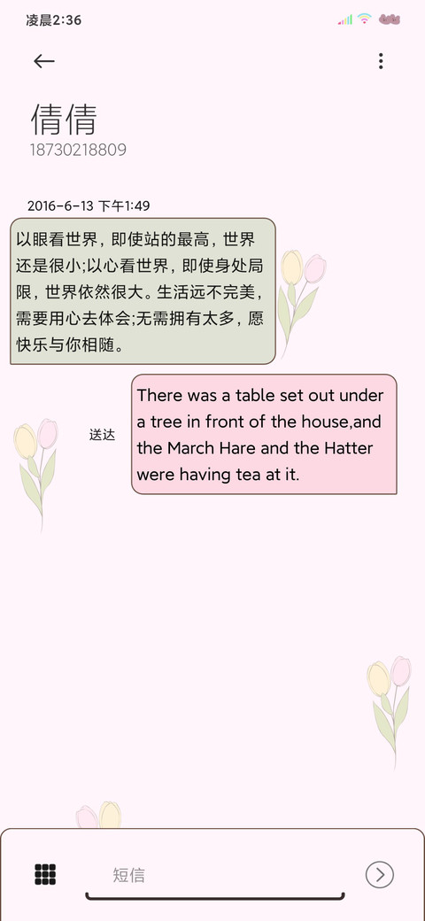 双模式ins风小清新 screenshot
