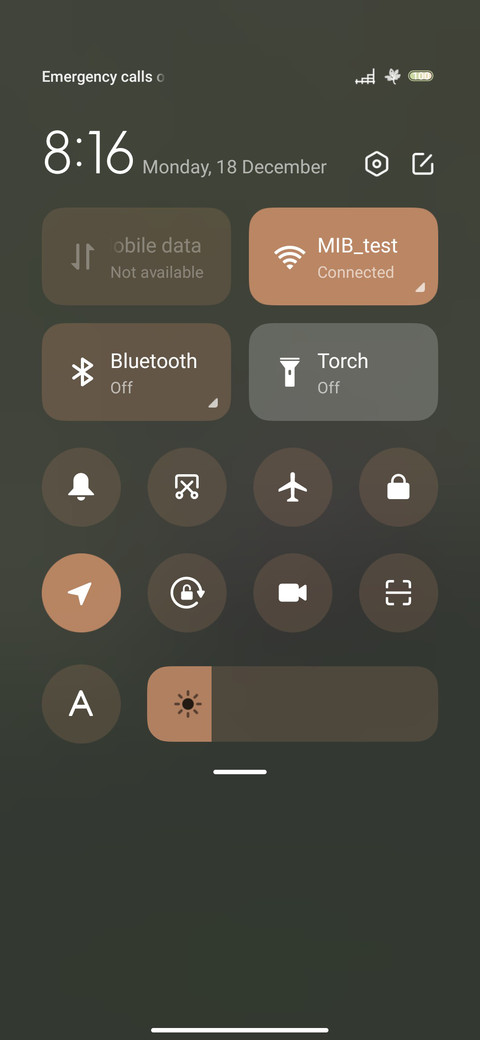 Round Panda screenshot