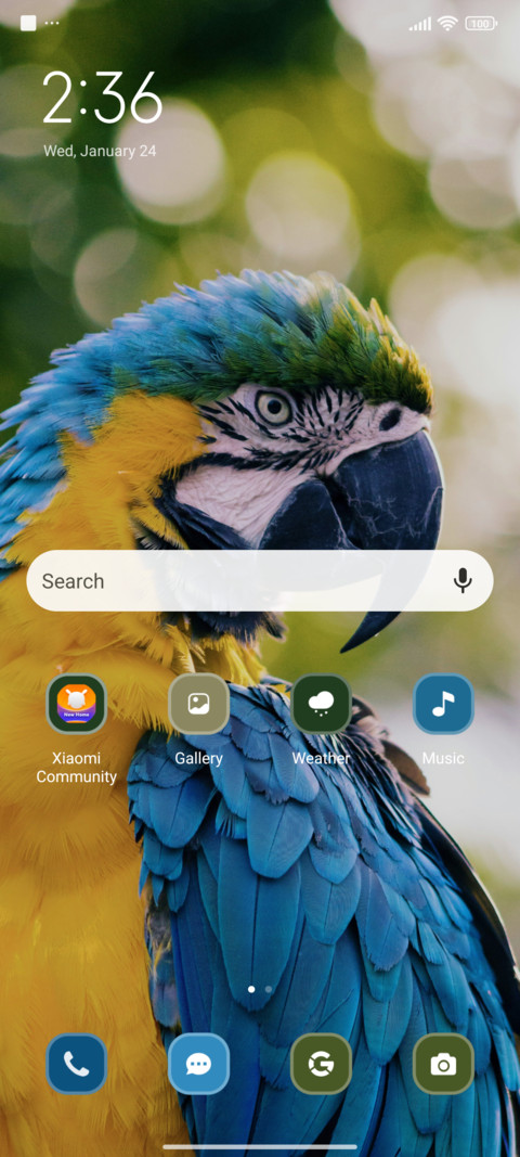 Parrot screenshot