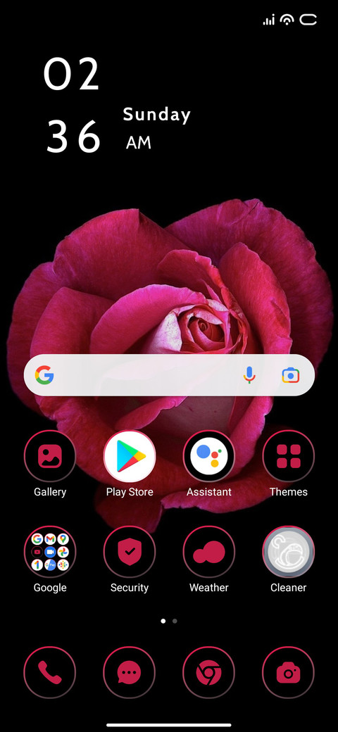 Black Rose screenshot