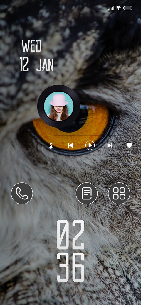 Owl screenshot