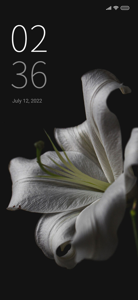 black and flower screenshot