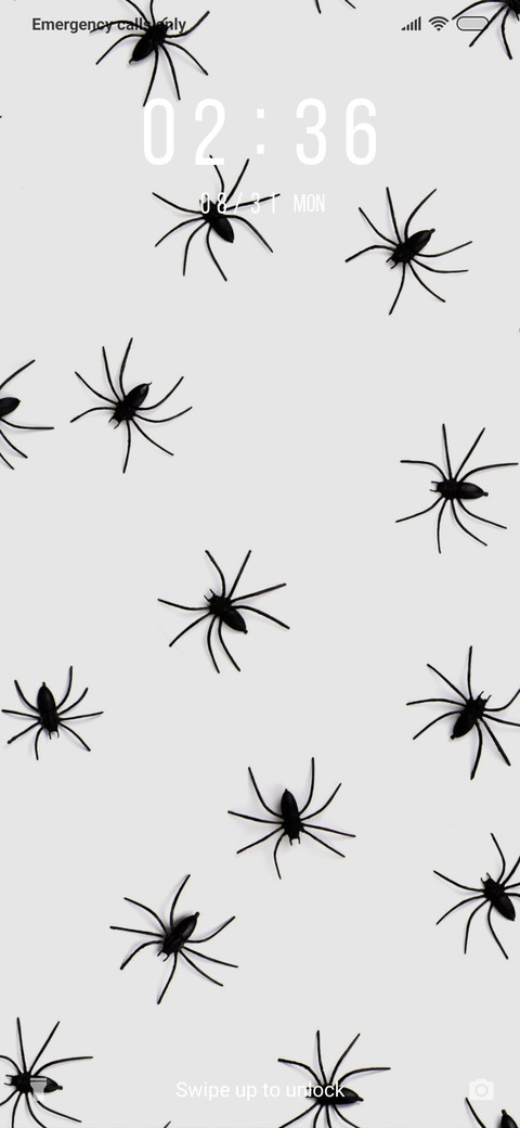 Spider_3MDS screenshot