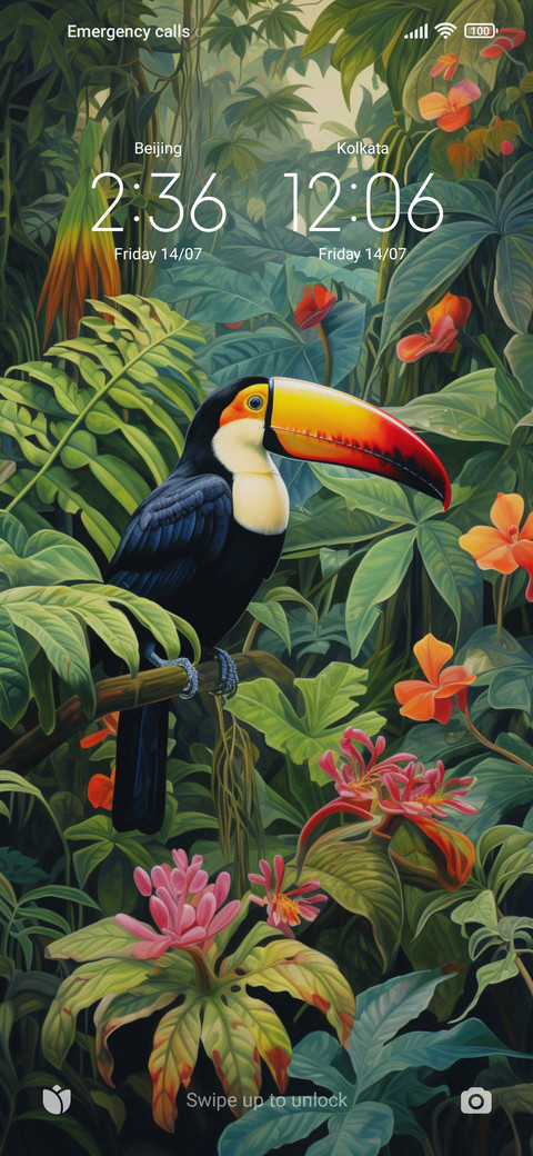 rainforest toucan screenshot