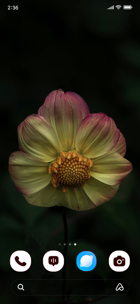 Sunset Petals screenshot