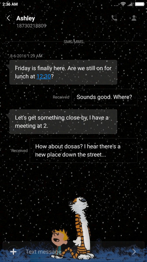 Calvin and Hobbes TT screenshot