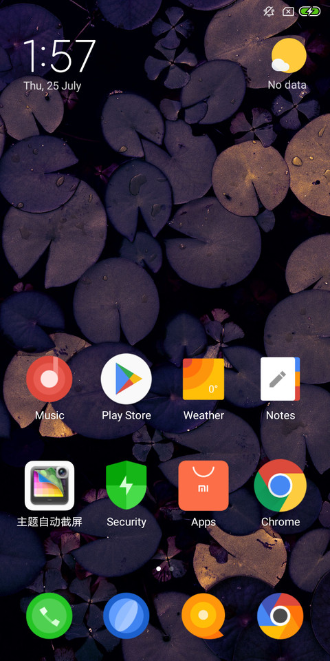 Custom screenshot