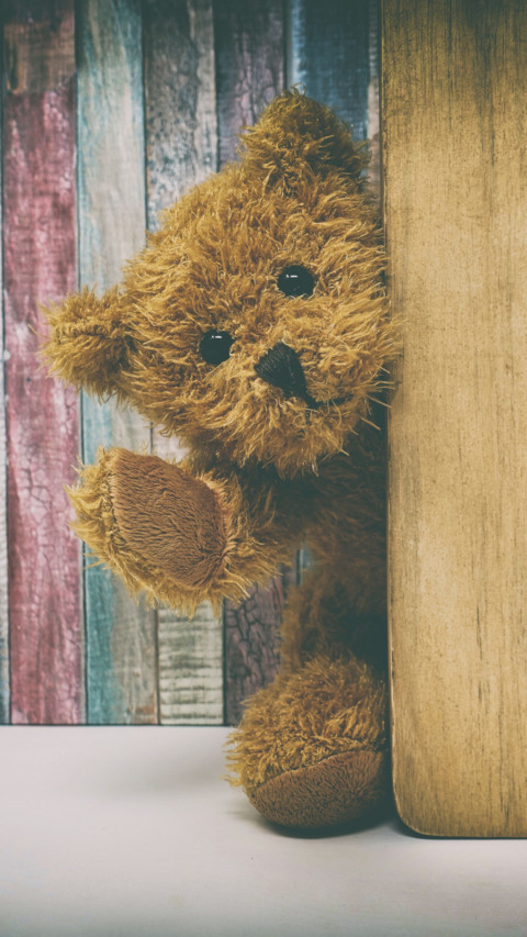 Teddy Day screenshot