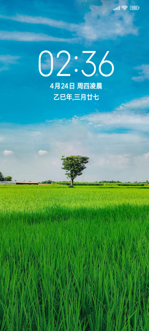 简约清新绿 screenshot