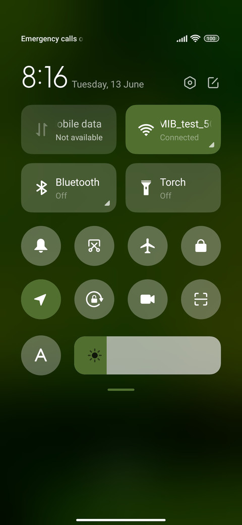 rain green screenshot