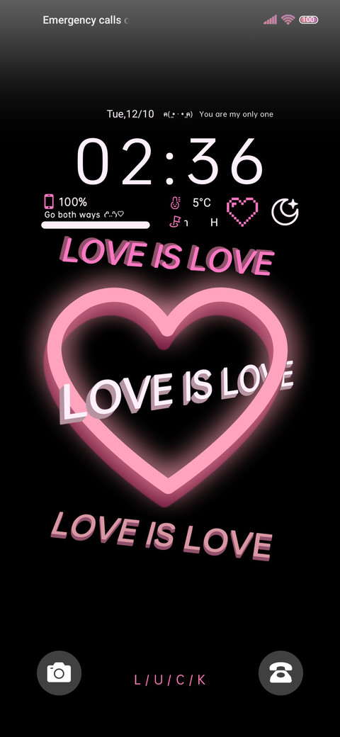 Love is Love screenshot