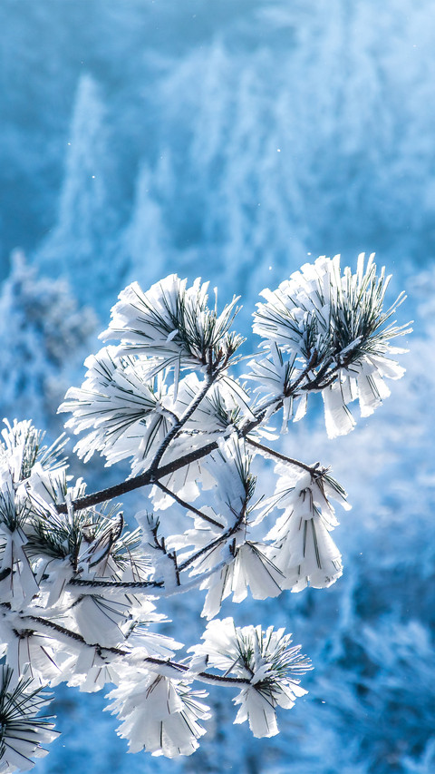 The beautiful scenery of snowcapped mountains and rime screenshot