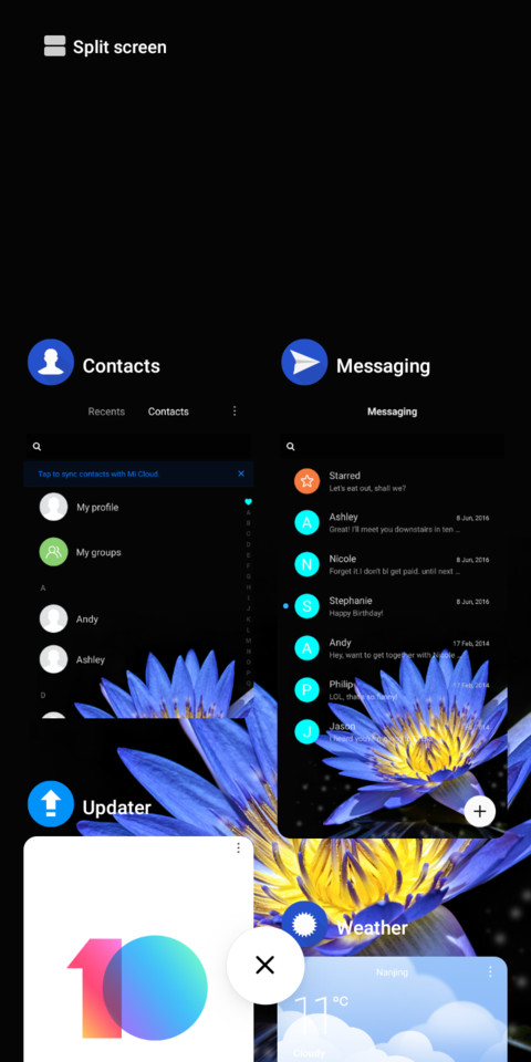 Flower_DWM19 screenshot