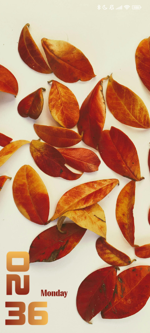 Brown Leaves screenshot