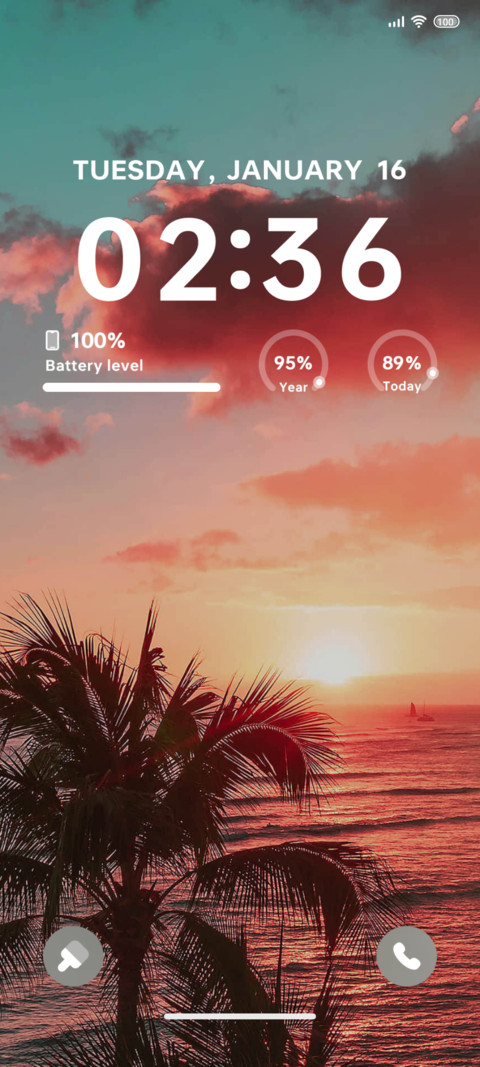 Coconut Bank love screenshot