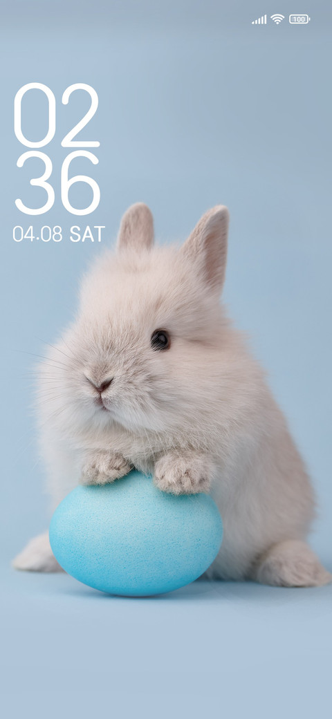 Cute rabbit screenshot