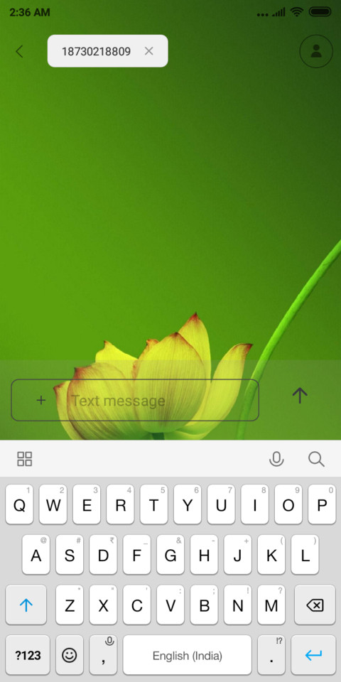 Lily_DWM19 screenshot