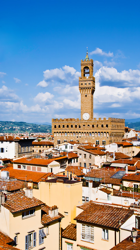 Palazzo vecchio florence italy screenshot
