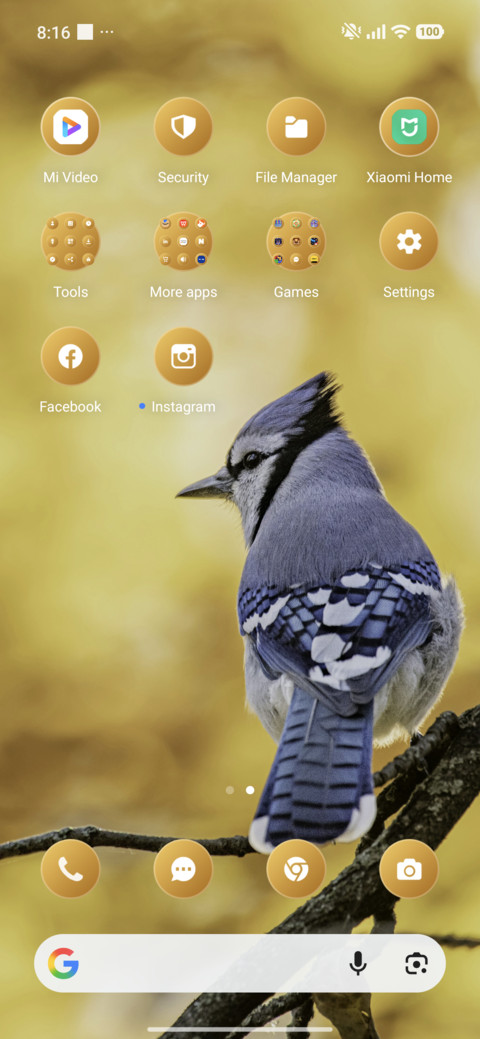 Sunlit Finch screenshot