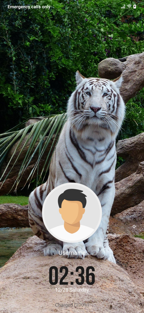 Tiger White screenshot