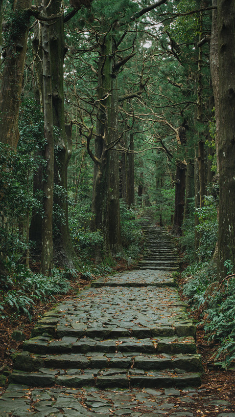 世界遗产之路-熊野古道 screenshot