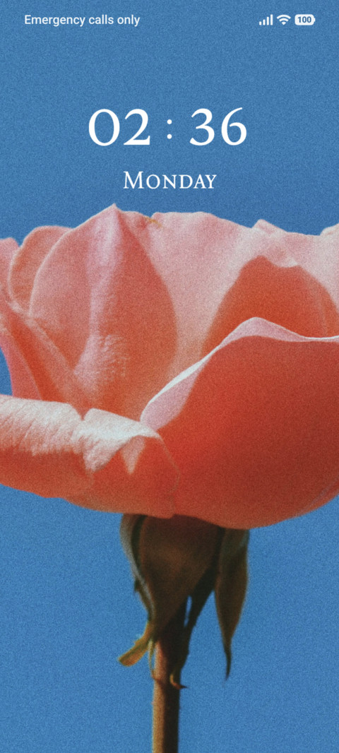 Crimson Lily screenshot