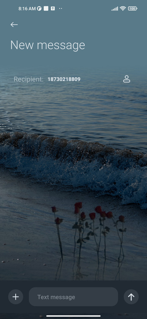 Sunny Sea screenshot