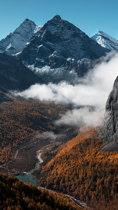 Aden's colorful forests and snowy mountains screenshot