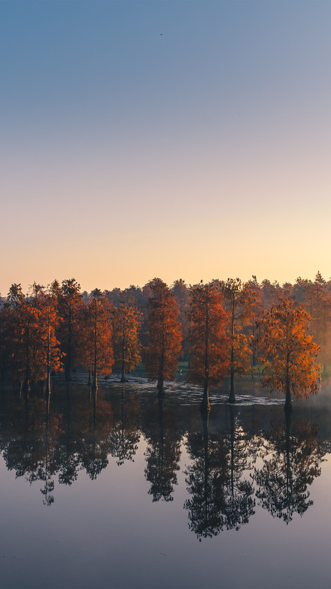 The red shirt forest in the park screenshot