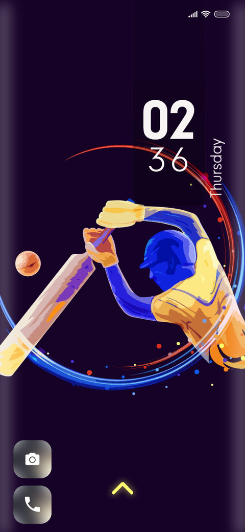 Cricket_24 screenshot