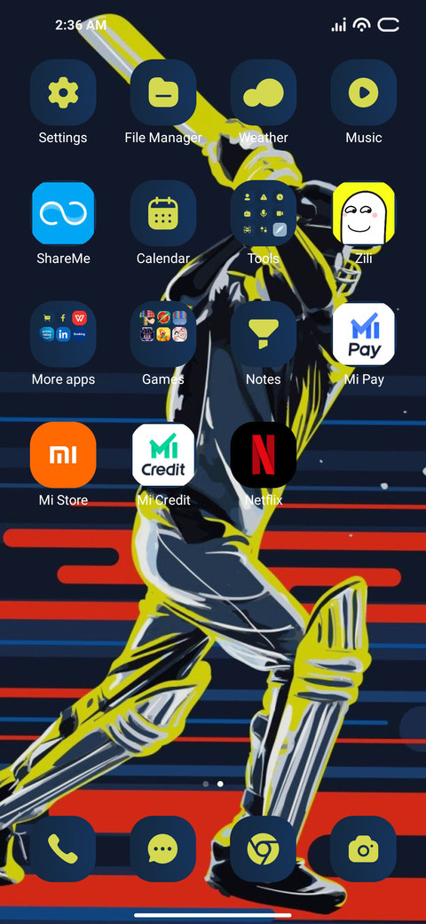 Classic Cricket screenshot