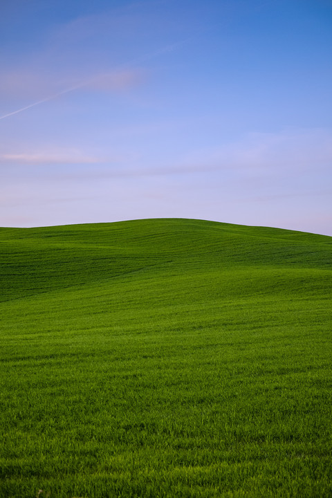 Scotland screenshot