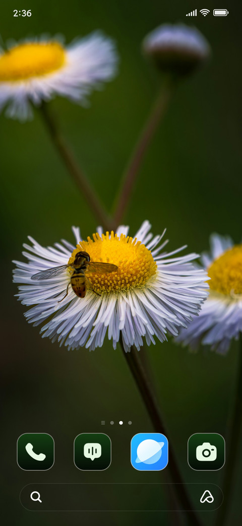 Bee Daisy screenshot