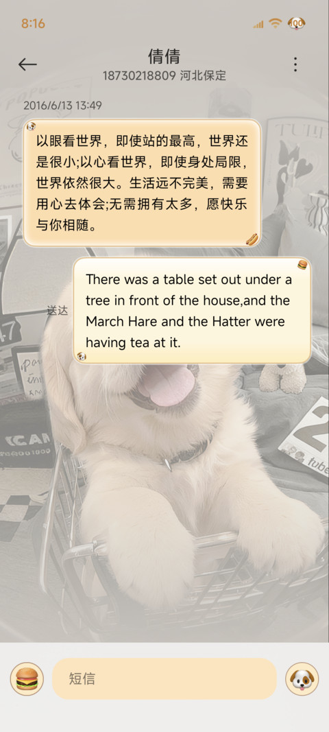 3D小金毛 自定义 screenshot