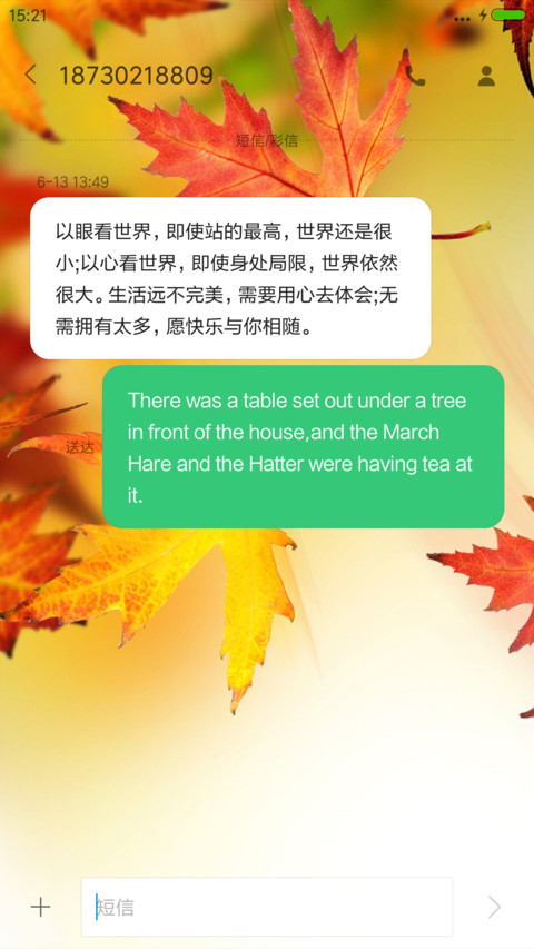 红枫（动态桌面） screenshot