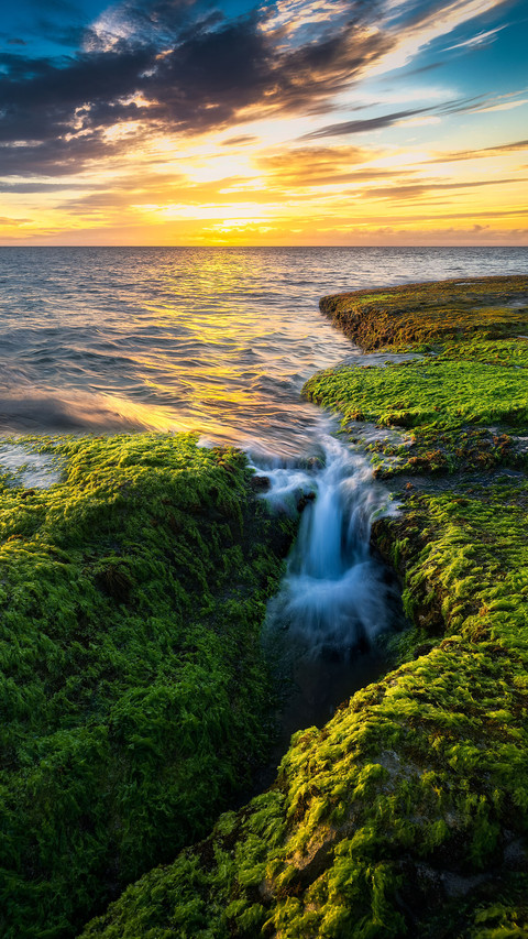 The unique charm of hawaii screenshot