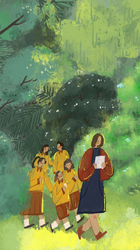 Illustration 738 screenshot