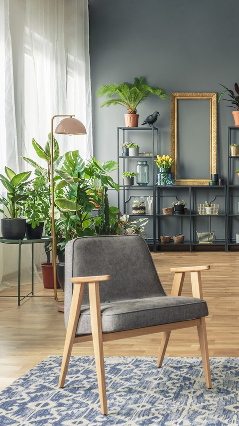 Plants that work better than humidifiers 19 screenshot