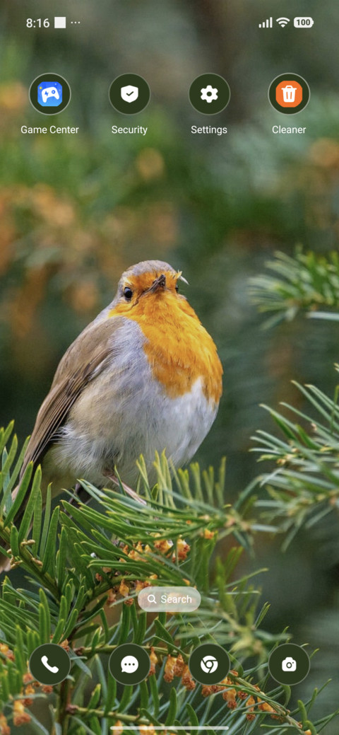 Bird Belly screenshot