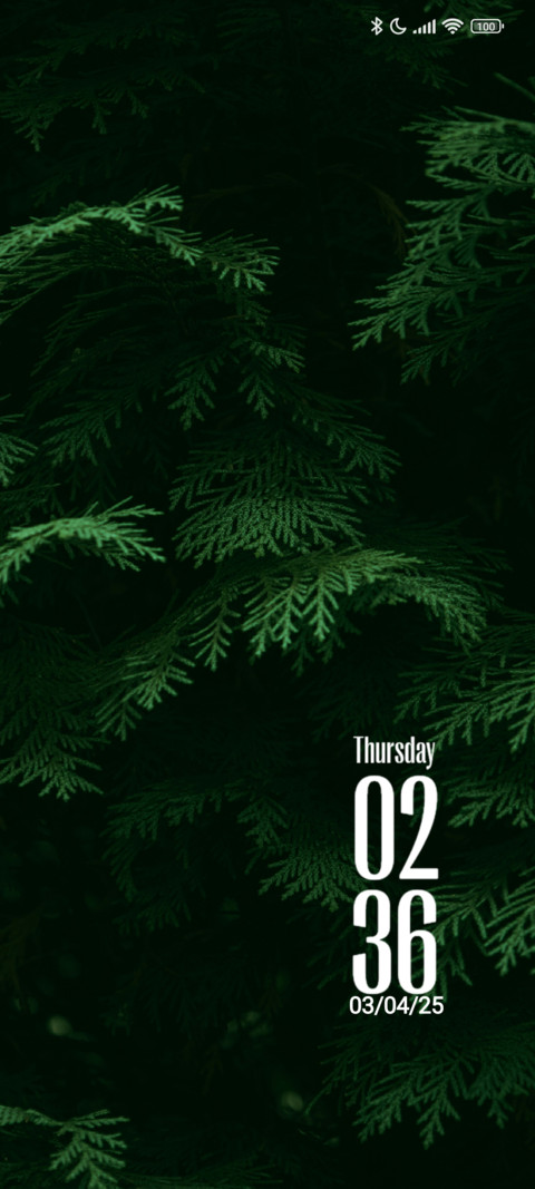 Dark Trees screenshot