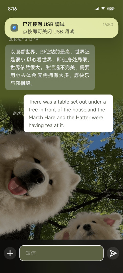 治愈小狗 树影摇晃 screenshot