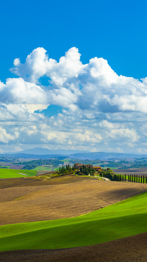 Green fields screenshot